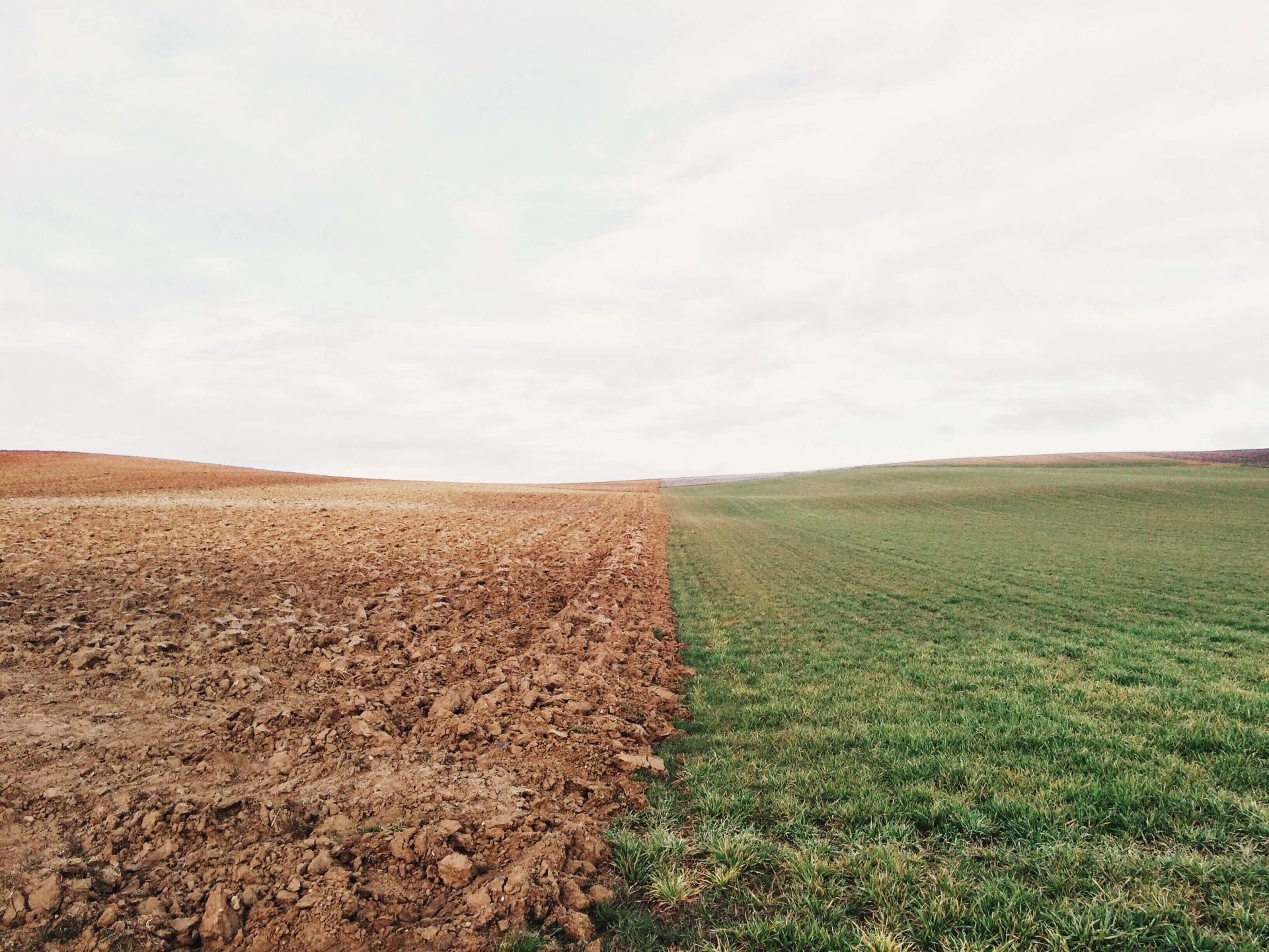 How Does Agriculture Affect Deforestation?