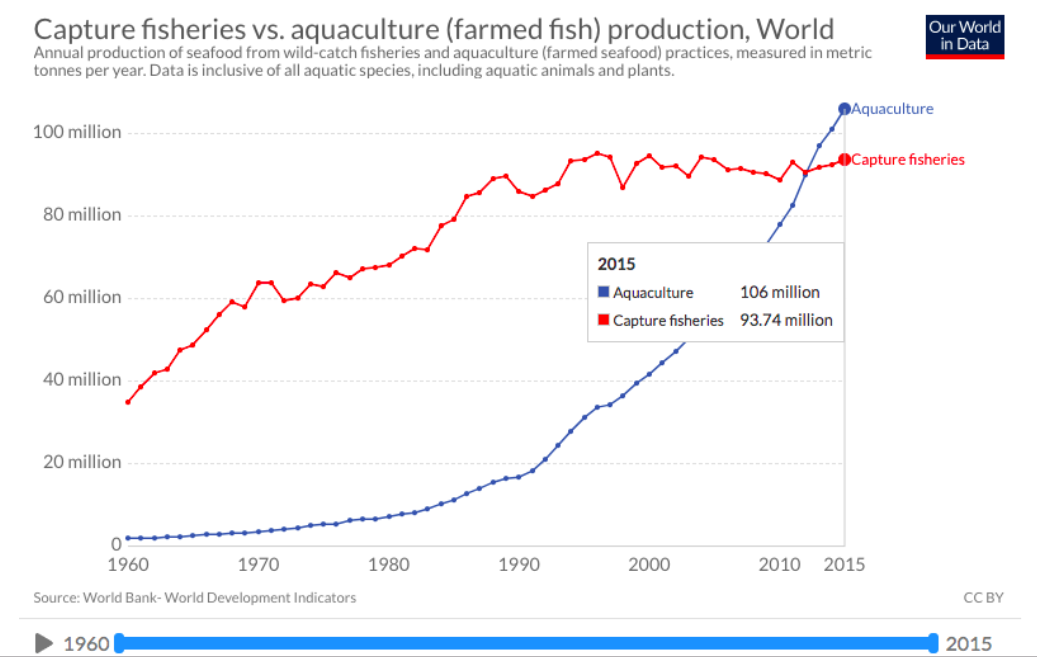 fish consumption growth