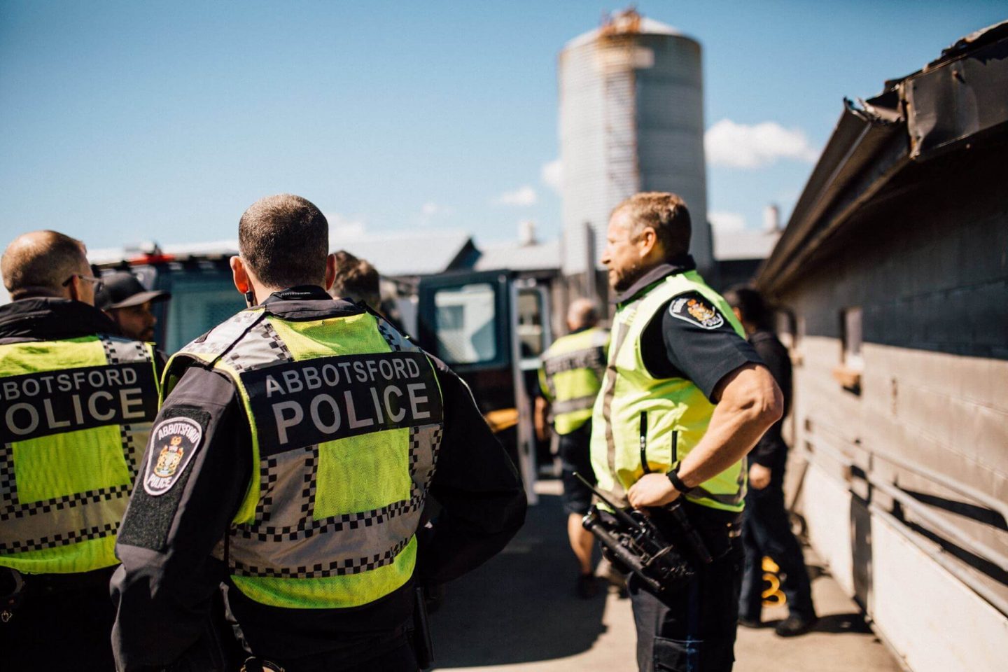 police pig farm