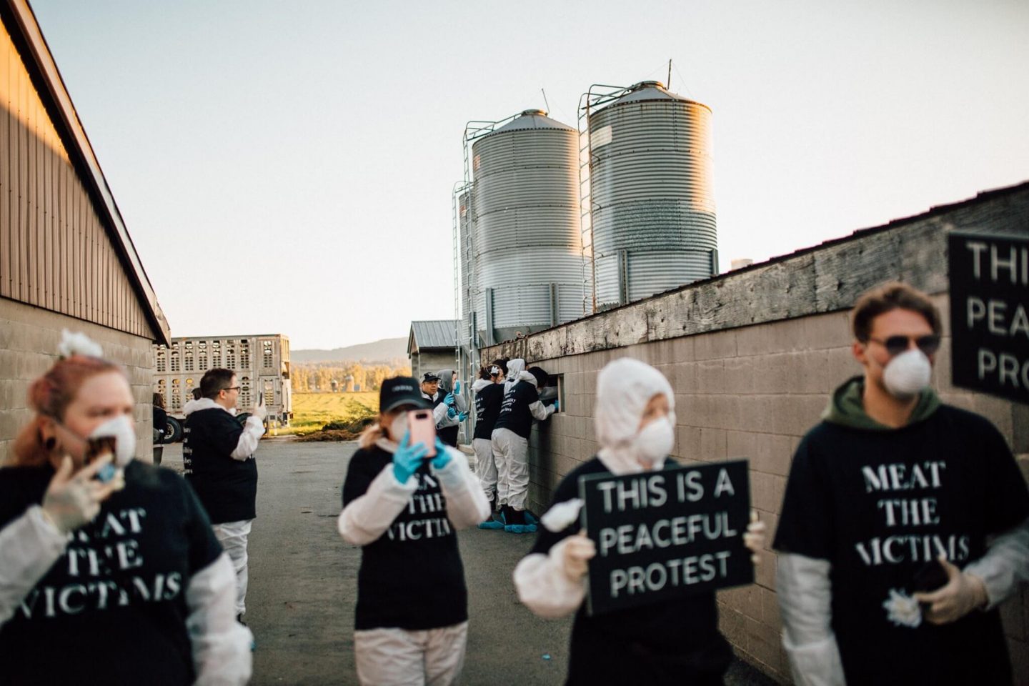 activists factory farm