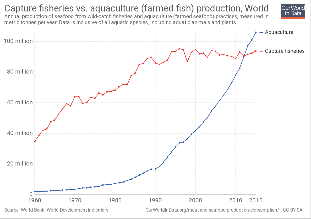 fish aquaculture farmed