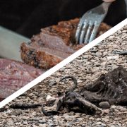 Meat and Climate Change