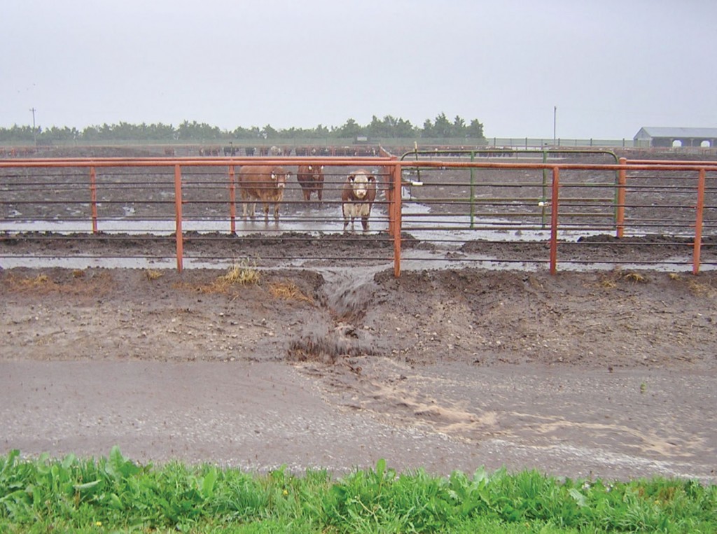 Farm Runoff