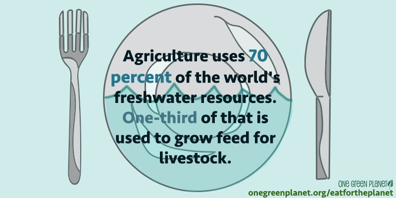 Agricultural Water Use