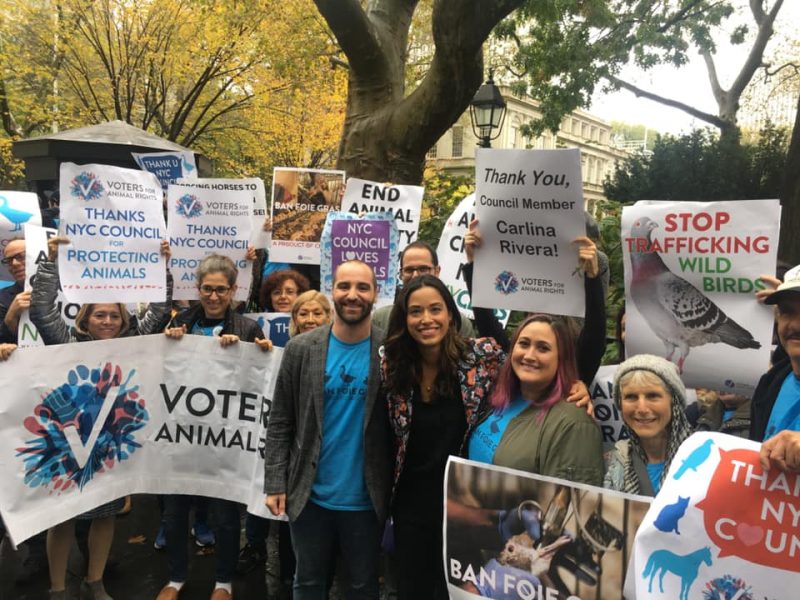 Voters For Animal Rights: Creating a More Compassionate New York