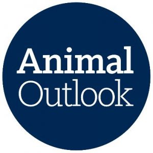 animal outlook logo
