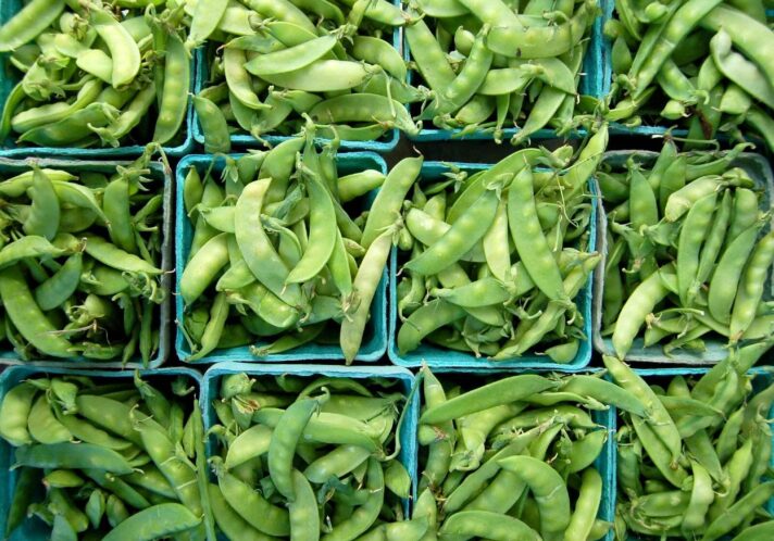 peas green farming