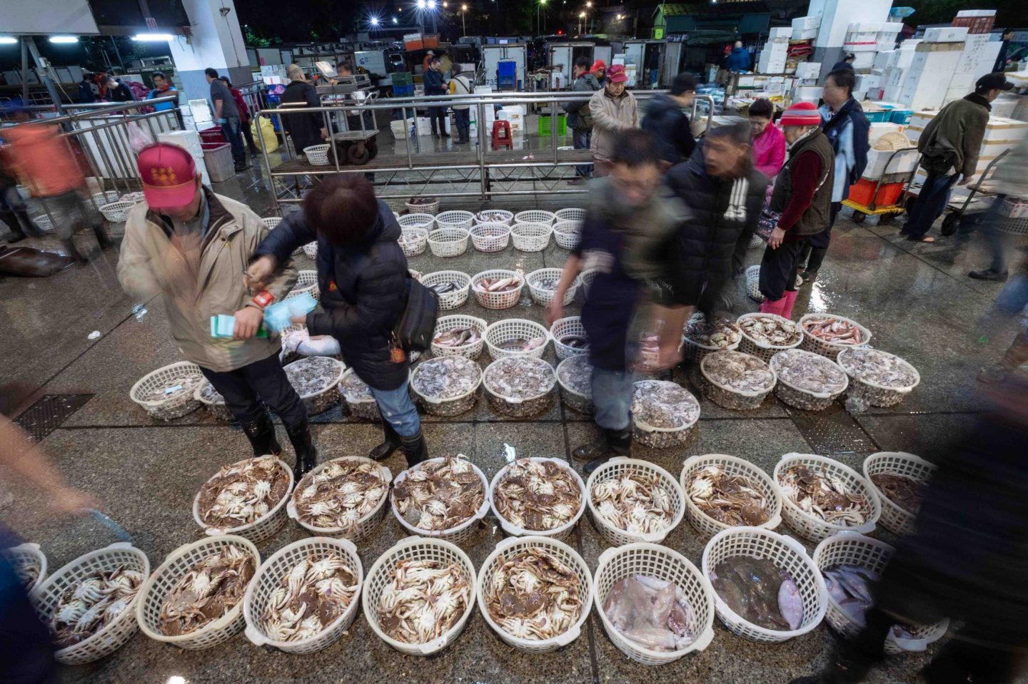 fish market sale