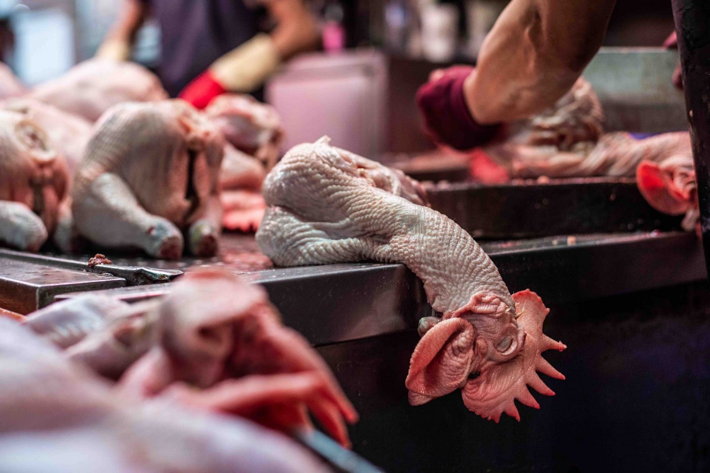 chicken slaughter market