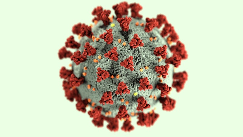 Coronavirus 3D model from CDC