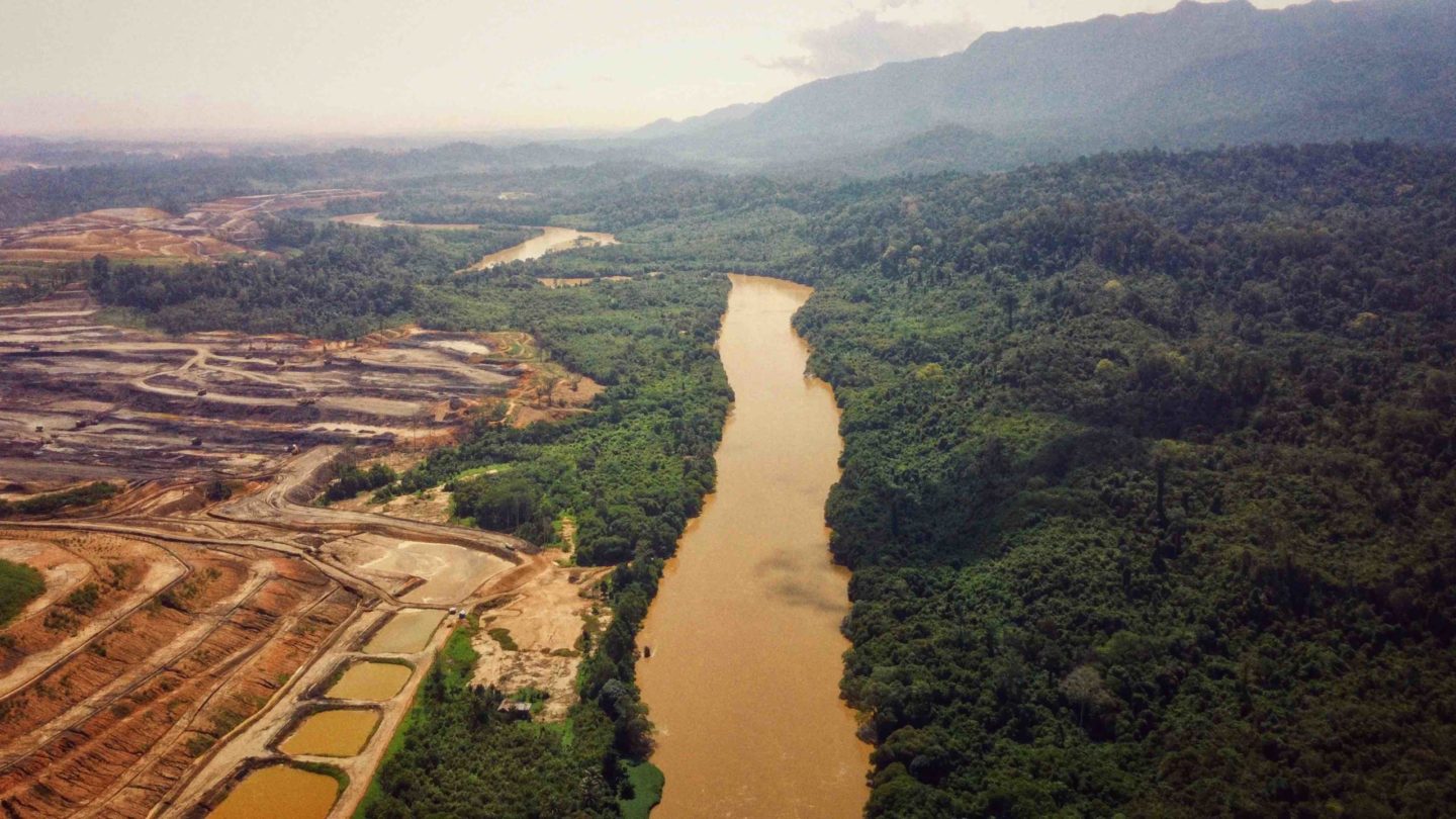 palm oil river