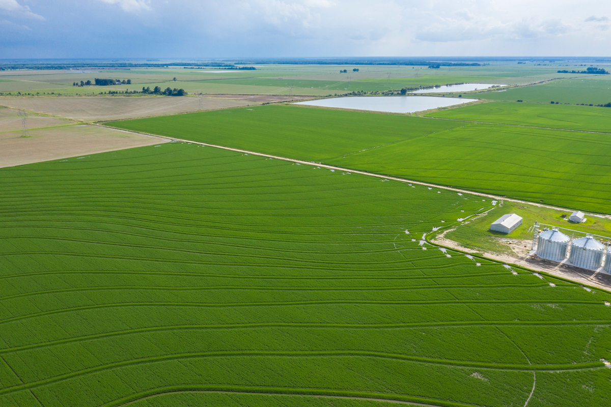 rice farm Arkansas