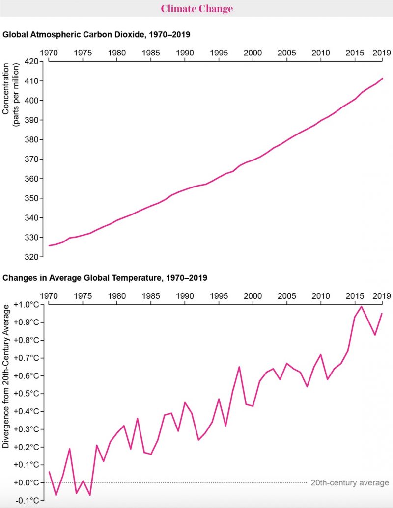 How the Environment Has Changed Since the First Earth Day 50 Years Ago