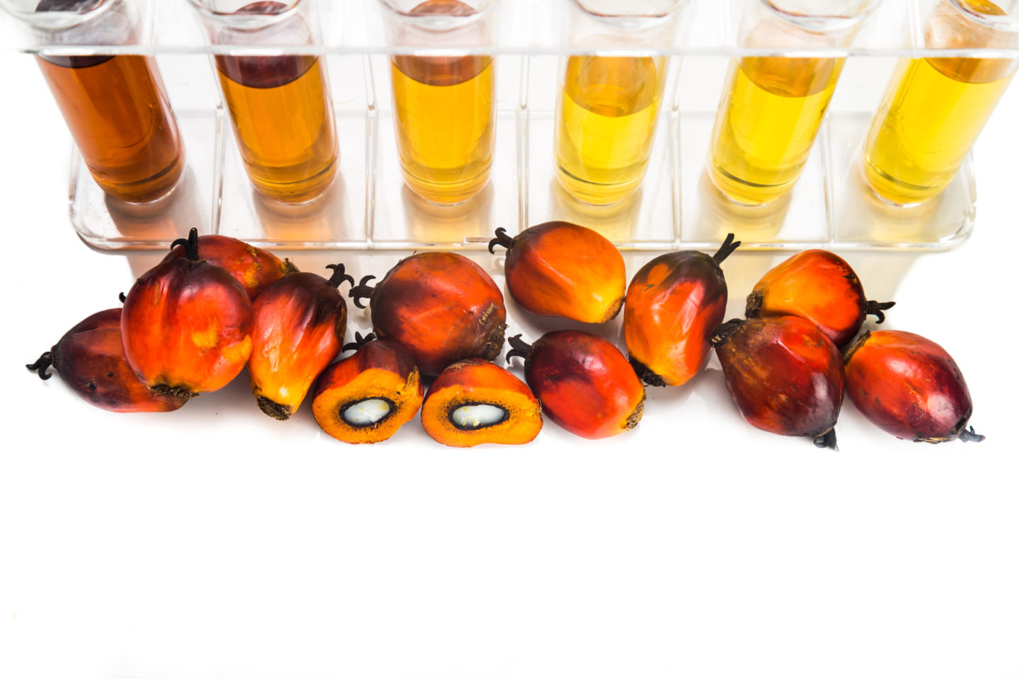 palm oil ingredient