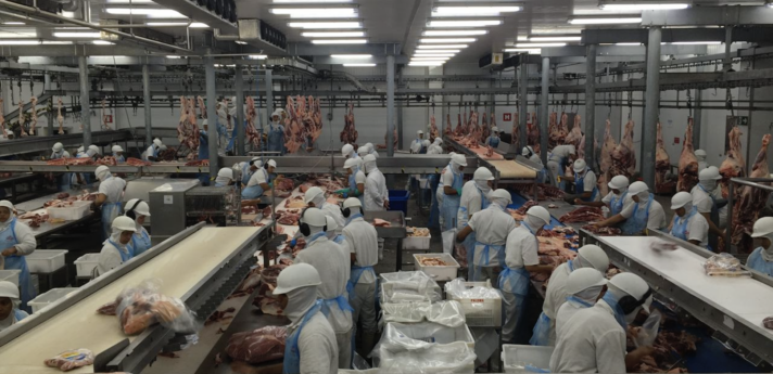 slaughterhouse workers