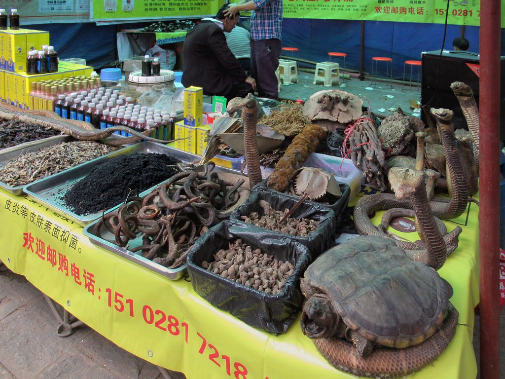 wildlife trade goods