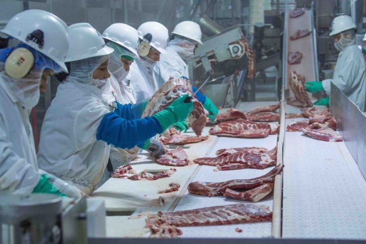 slaughter processing plant