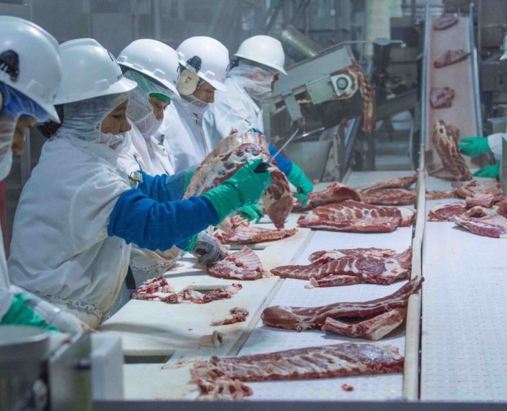 slaughter processing plant