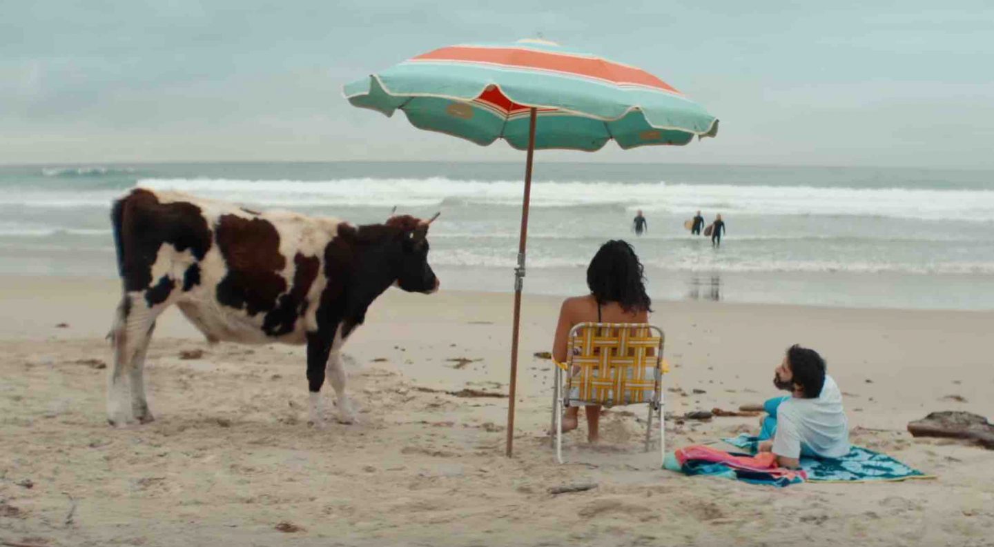 cow beach people