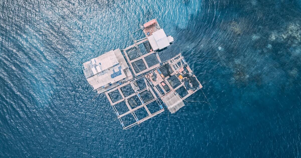 Fish farm in the ocean