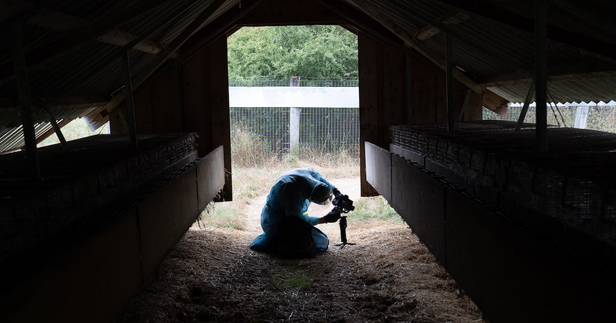 Fur farm