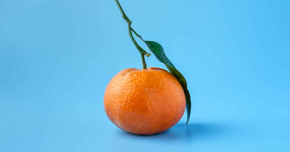 An orange against a blue background