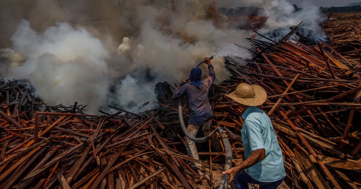 Charcoal producers trying to put out a fire that spread from illegal burning