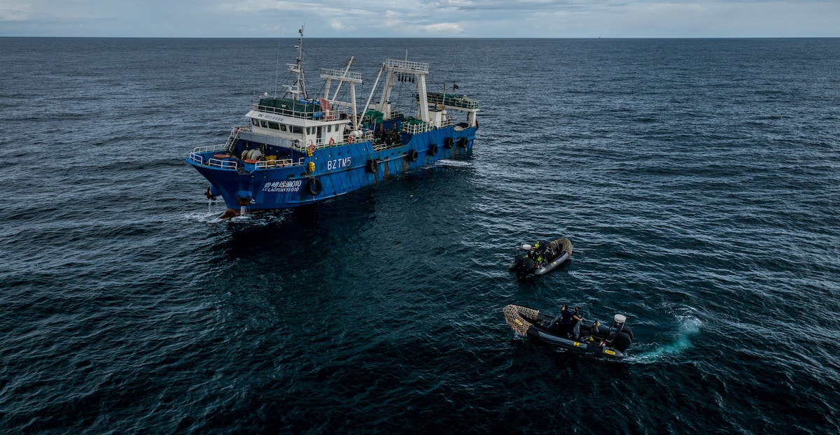 Sea Shepherd speedboats next to a Chinese fishing vessel in Gambian waters