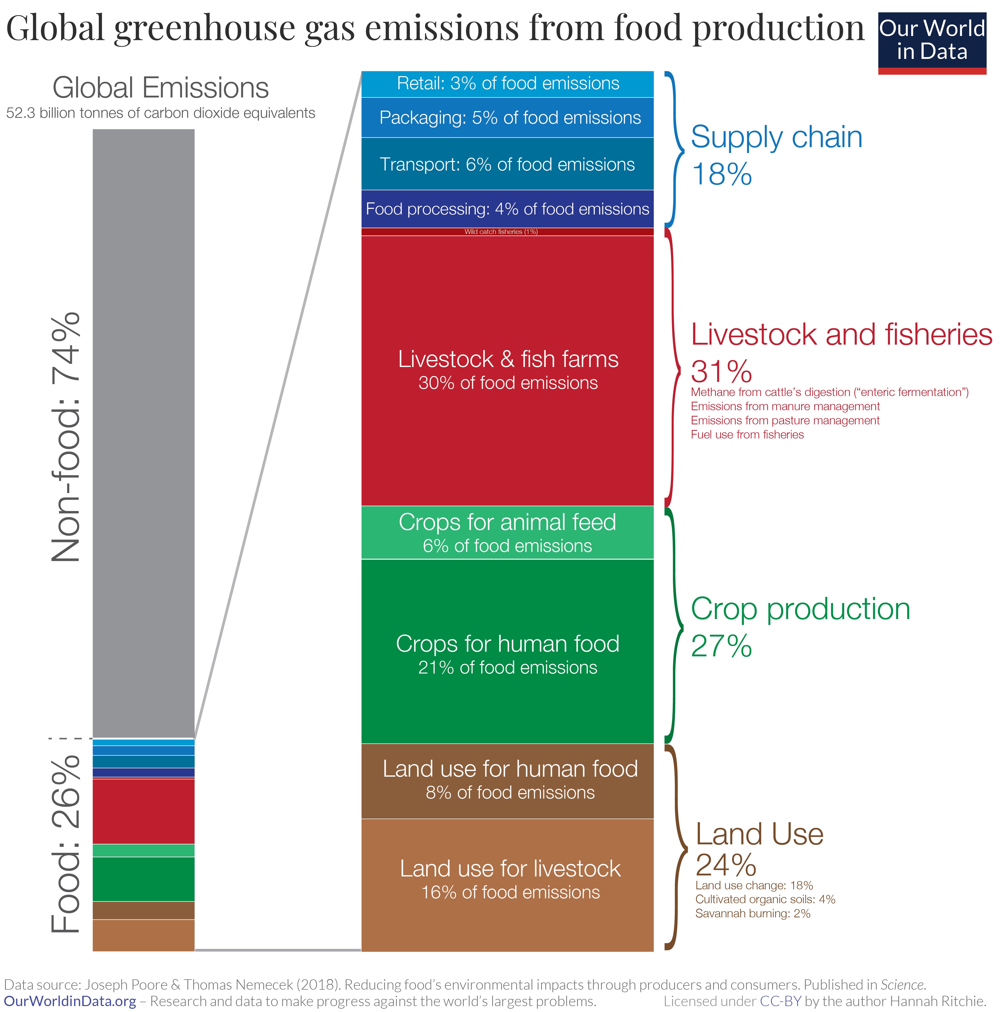 Deforestation — How Much of the Rainforest is Left?