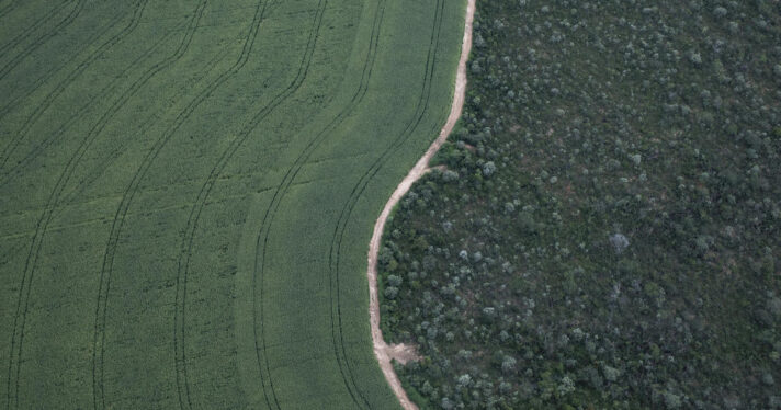 Cerrado deforestation by Soybean Plantation
