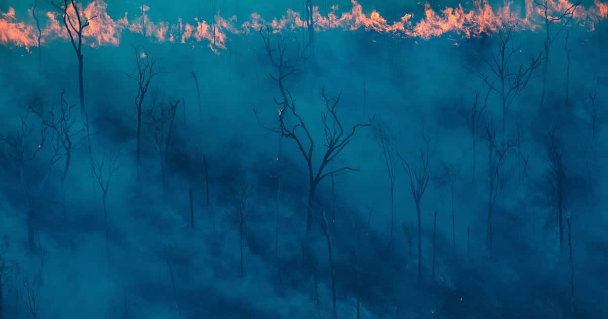 A fire in September in the rainforest in the state of Rondônia