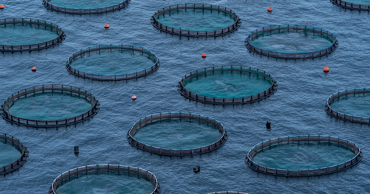 Fish Farming