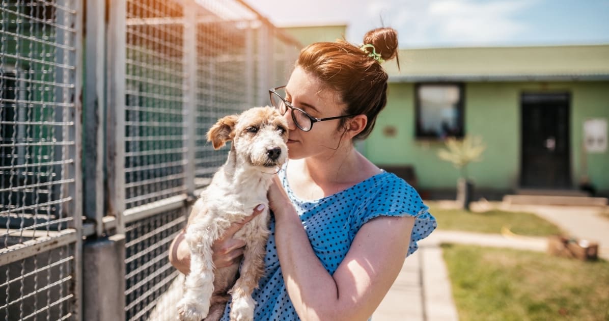 No-Kill Shelters Are Sweeping the Nation. That's a Good Thing, Right?