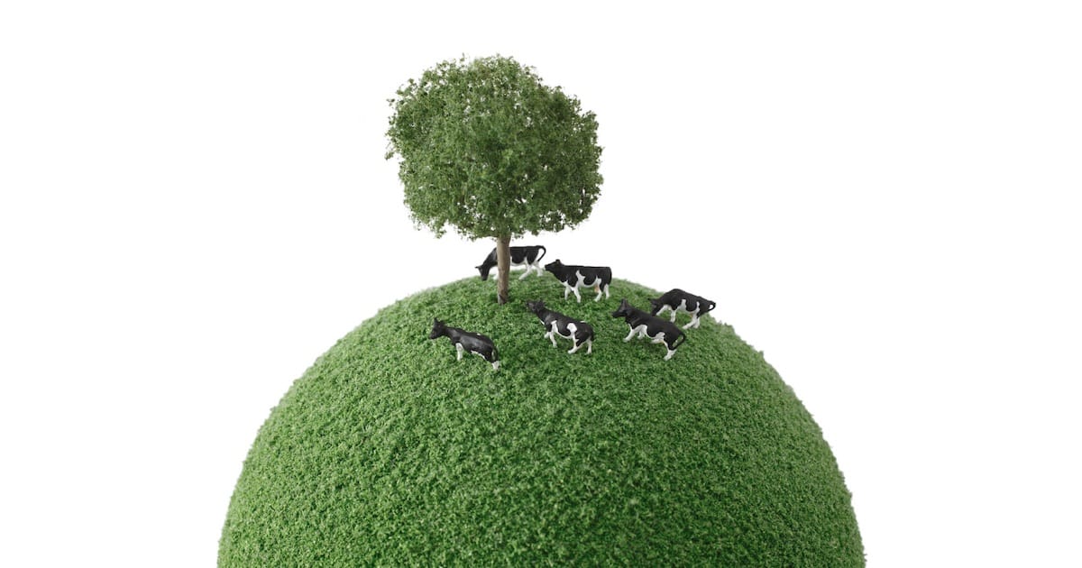 Mockup of cows around a tree in a sphere of grass