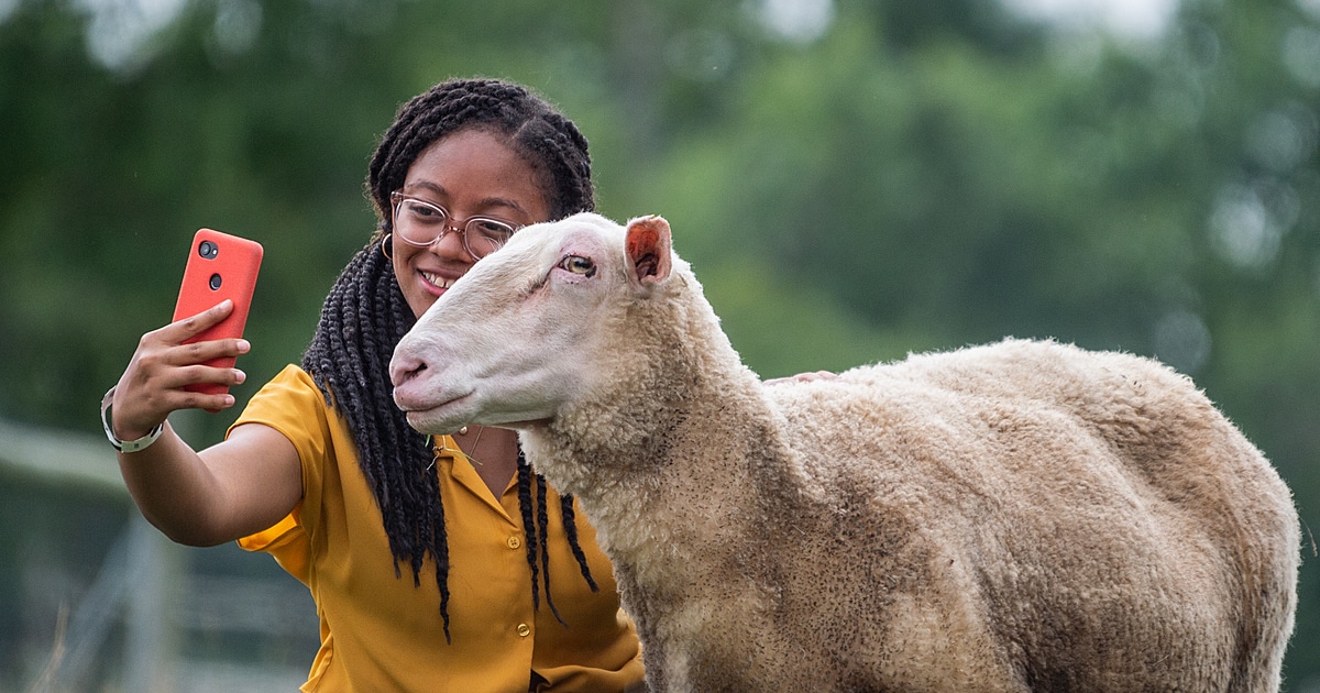 Haile Thomas taking a selfie with a rescued sheep at Farm Sanctuary.