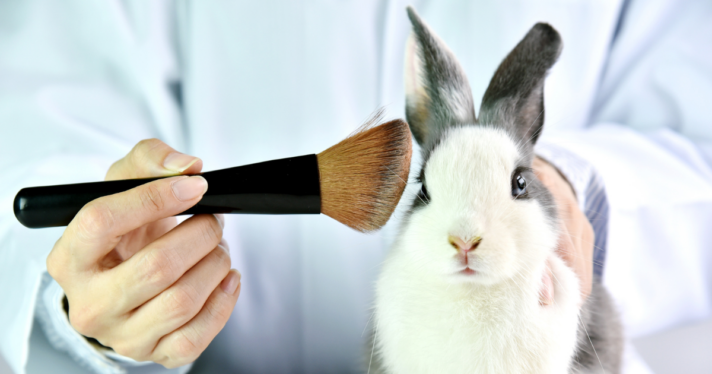 A rabbit with a makeup brush