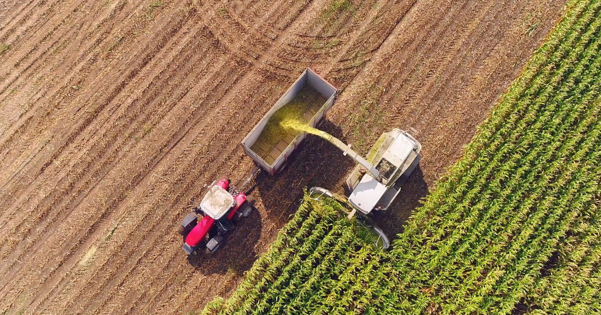 image of machinery harvesting corn on field, what are farm subsidies