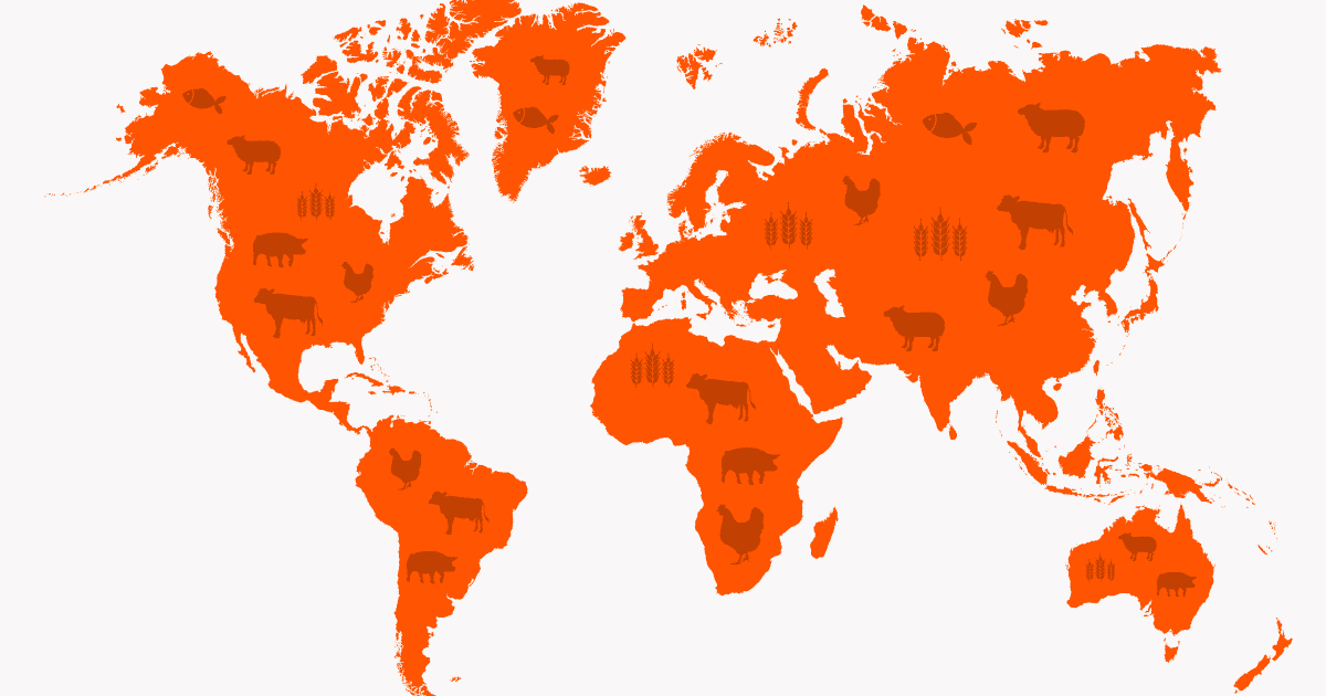 Orange and white world map with farmed animals