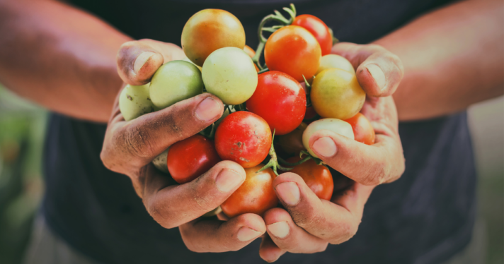 A closeup of two hands holding produce