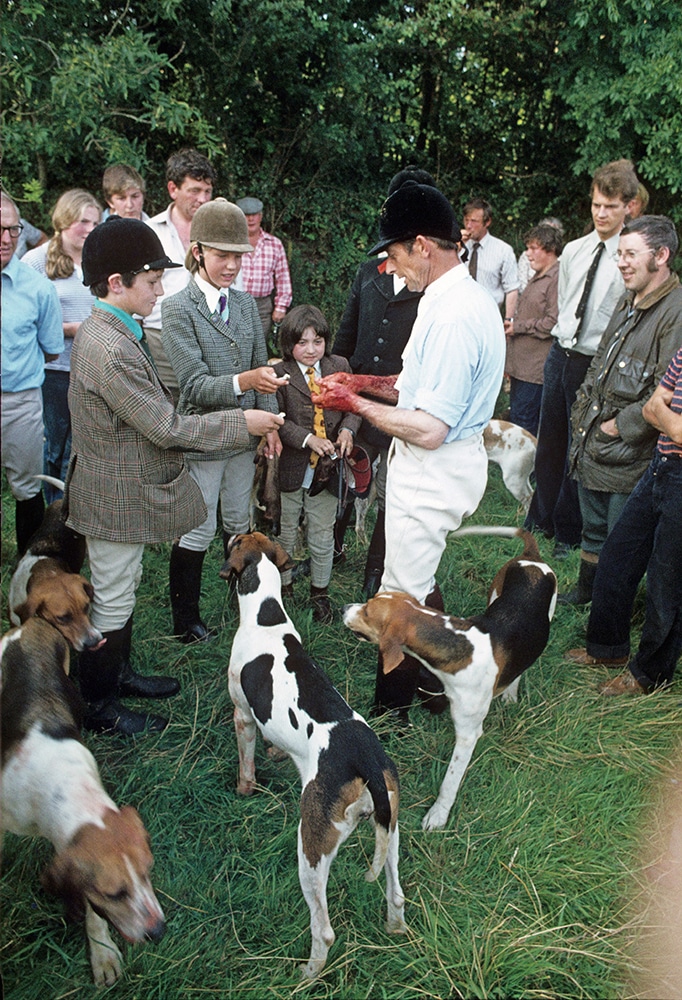 Devon and Somerset Staghounds