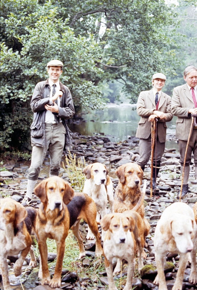 Three Counties Minkhounds 1982