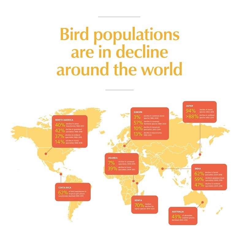 declining bird populations