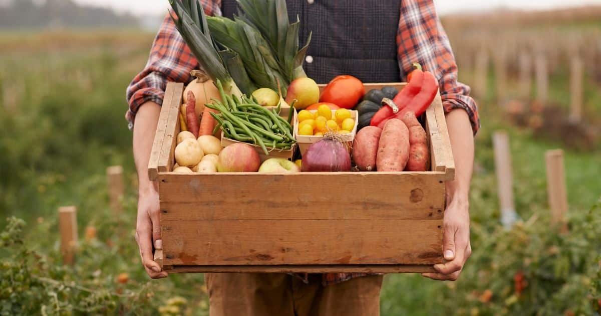 How 4 Leading Organizations Define a Sustainable Diet