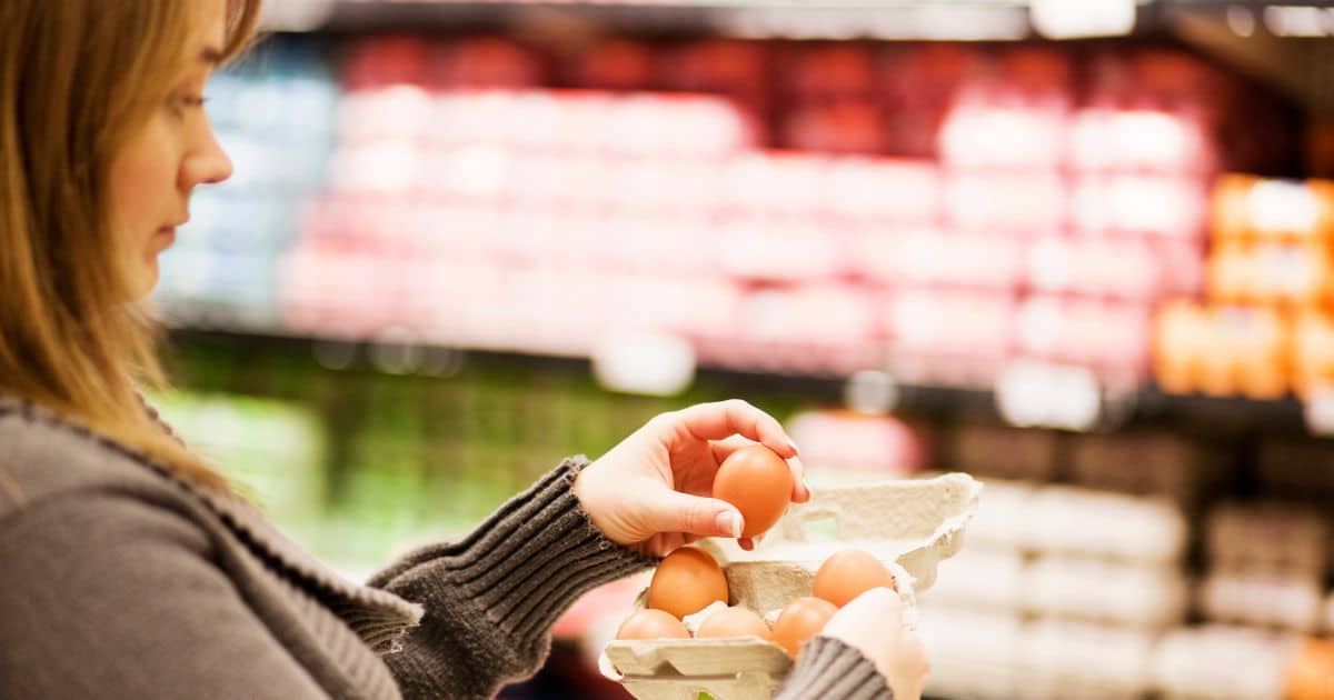 why are egg prices so high?
