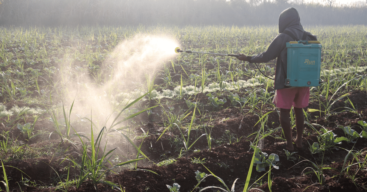 Climate change is making dairy farming in India unsustainable