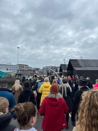 protest against whaling in Iceland
