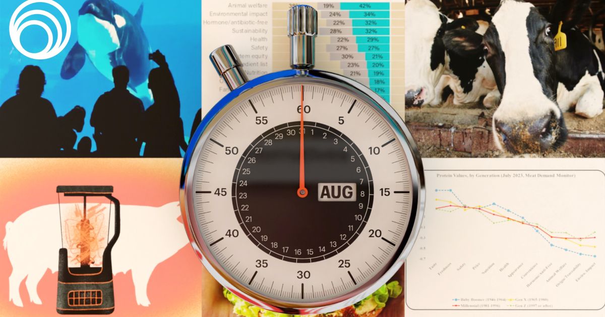image of stop watch with various media images in background -- including orca, two cows, an outline of a pig in front of a blender / month in a minute news roundup from Sentient Media