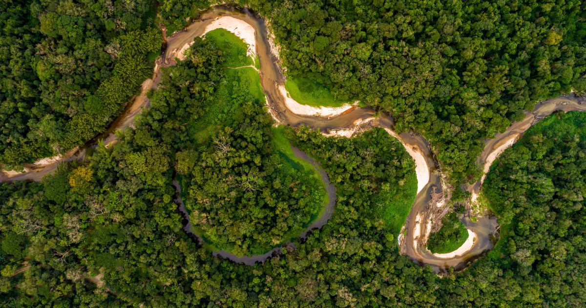 image of Amazon rainforest, Amazon deforestation