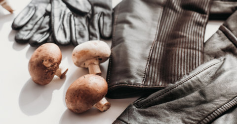 Mushrooms next to mushroom leather jacket and gloves