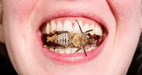 Closeup of a woman with a bug in her mouth